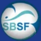 sbrothersuae